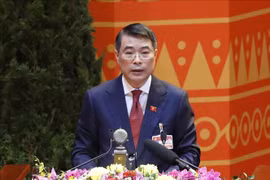 狠抓越共十三大决议落实见成效 打造繁荣幸福的越南 