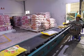 援助企业加大对拉美市场出口力度 