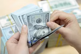 8月13日上午越盾对美元汇率中间价上调7越盾