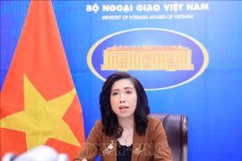 外交部发言人：全力为在沙特阿拉伯遇难的越南公民家属提供协助