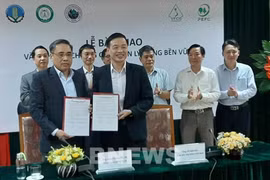 提高越南森林认证品牌在国际市场上的地位