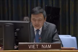 越南与联合国安理会：越南承诺促进联合国宪章和国际法的作用