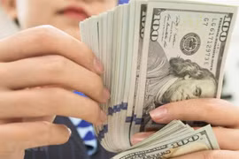 9月28日上午越盾对美元汇率中间价下调4越盾