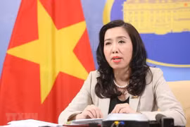  越南相信印度能早日控制疫情