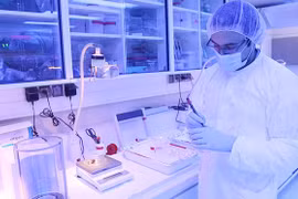 越南与国际原子能机构在以和平目的利用核技术方面开展有效合作