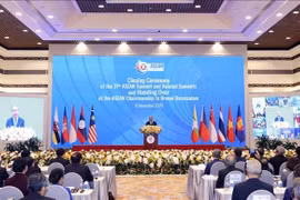 迎接越共十三大：印尼学者高度评价越南取得的巨大成就