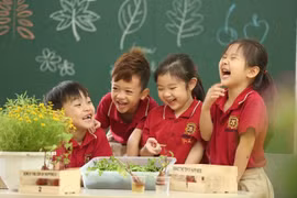 2020-2021年阶段越南妇女儿童可持续发展目标调查结果对外公布