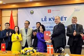 丹麦为越南提高统计数据质量资助100万美元