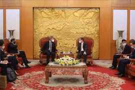 促进越南与新加坡执政党的合作关系 深化两国战略伙伴关系