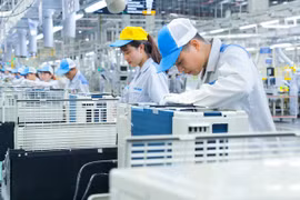 2021年第四季度越南新成立企业数量增长了70%