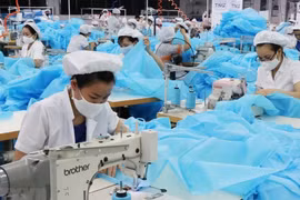 疫情之下出口依然实现高速增长
