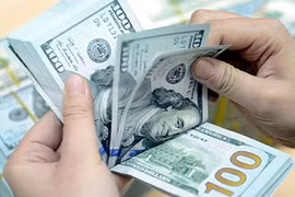 5月24日上午越盾对美元汇率中间价保持稳定