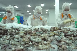 越南虾类对美国出口额猛增