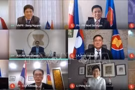 越南共同主持东盟－日本联合合作委员会会议