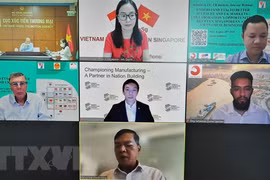 促进越南和新加坡企业合作 进军欧盟和英国市场