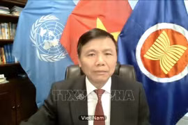 越南与联合国安理会：越南支持阿富汗和平进程