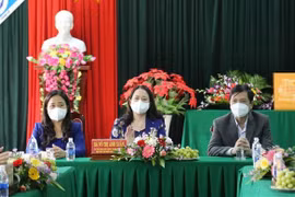 越南国家副主席武氏映春赴广治省调研 