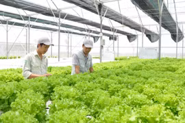 保持农业农村的支撑作用