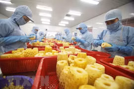 越南努力加大对俄罗斯和亚欧经济联盟的农水产品出口力度