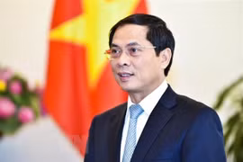 外交部部长裴青山与澳大利亚、马来西亚和菲律宾三国外长举行线上会谈
