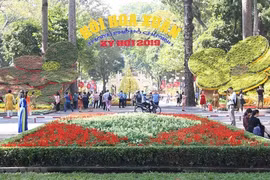 胡志明市辛丑春节花卉节将延长12天