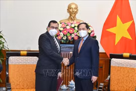 越南外长裴青山会见巴拿马驻越大使