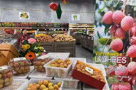 疫情之下越南商品仍畅销澳大利亚市场