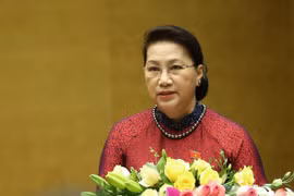 越南国会主席阮氏金银向巴西参议院议长帕切科和众议院议长里拉致贺电