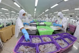 俄罗斯专家高度评价越南在亚欧一体化进程中的作用