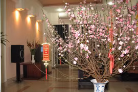 民族传统春节习俗