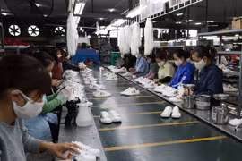 越南与智利的自由贸易协定为促进双方贸易增长注入动力