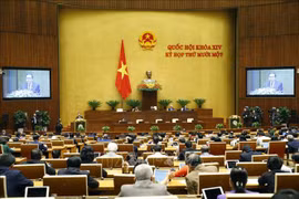 越南第十四届国会第十一次会议新闻公报（第二号）