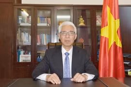 越南驻中国大使范星梅：受新冠肺炎疫情影响 越中关系依然保持良好的发展势头