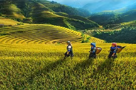 越南第十五届国会第二次会议：有针对性地选择少数民族地区和山区的重点投资项目