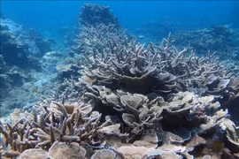 国家生物多样性数据库构建提案正式获批