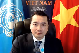 越南支持联合国与OSCE加强合作关系