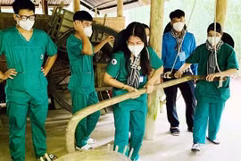 越南提高旅游企业的适应能力
