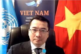 越南与联合国安理会：越南高度评价联合国中亚地区预防性外交中心开展的各项活动