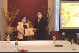 越南驻比利时大使鼓励在比利时越侨团结协作渡过疫情难关