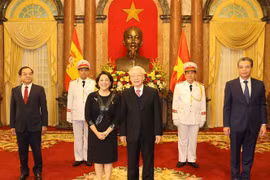 阮富仲接受外国新任驻越大使递交国书