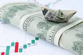 7月1日上午越盾对美元汇率中间价下调5越盾