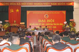 为越南与柬埔寨加强传统团结友好关系起到桥梁作用