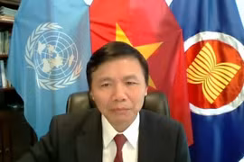 越南与联合国安理会：越南主持召开有关索马里的选举和安全进程的视频会议