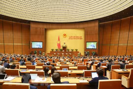 第十四届国会第十一次会议：国会听取2016-2021年任期工作报告并分组讨论