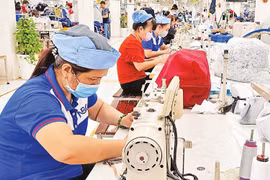 胡志明市促进主要工业产品出口