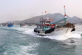 越南决心解除IUU“黄牌”警告