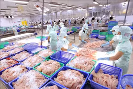 2021年第一季度越南水产品出口增长3%