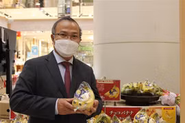 越南香蕉开始在日本市场站稳脚跟
