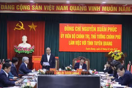 政府总理阮春福：宣光省需成为越南乃至地区木材业的“重要据点”