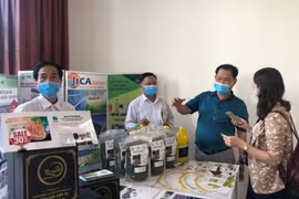 新背景下贸促工作快速适应 力求成效